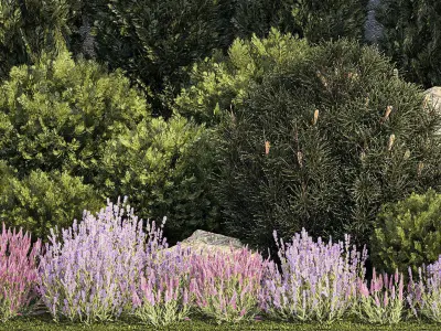 Garden with alpine slide bushes of thuja and lavender 1265 3D model