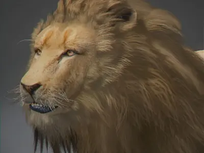 Lion 3D 3D model