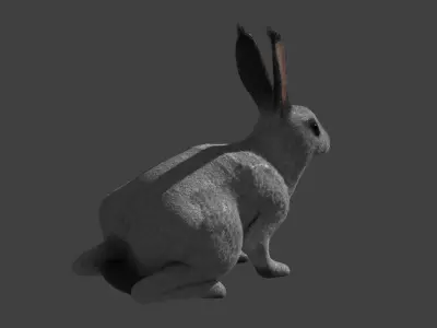 Rabbit BW ANIMATED FUR 3D model