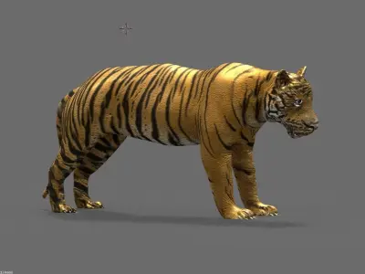 tiger 3D model buy