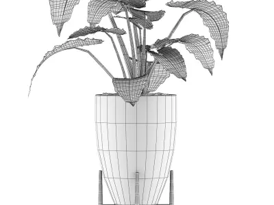 Plants Collection 50 3D model
