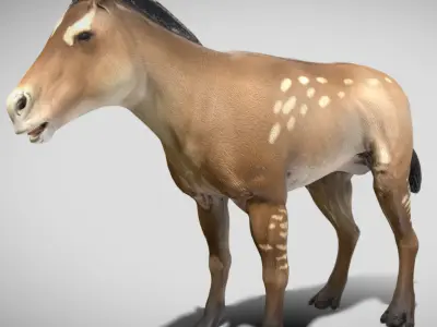 Mesohippus Low-poly 3D model
