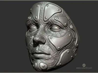 C5X Wall Mountable High detail model 3D print model