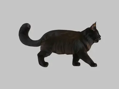 Black Cat 3D Model Low-poly 3D model