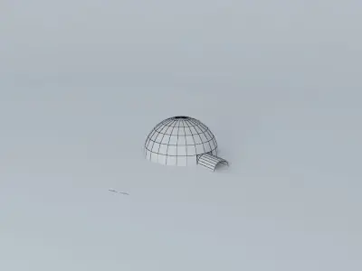 Igloo turtle 3D model