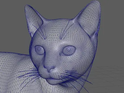 realistic cat 3D model