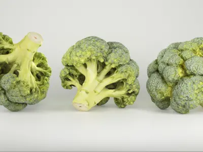 Cob of broccoli 27 Low-poly 3D model