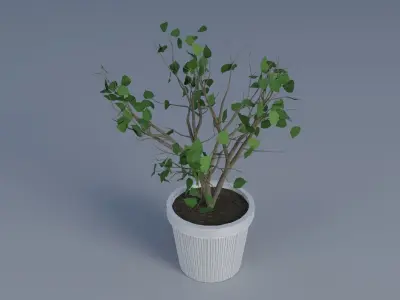 interior plant Low-poly 3D model