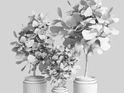 Indoor plant collection 27-marble vase Low-poly 3D model