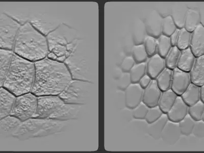 45 Reptile Dragon lizard crocodile Skin Scale Alphas V3 3D model