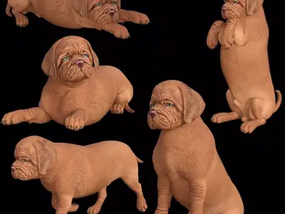 5 stand alone obj-12 3D model