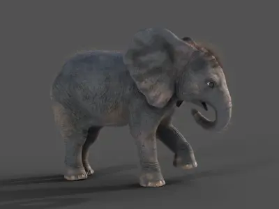 Fur Baby Elephant Rigged in Blender Low-poly 3D model