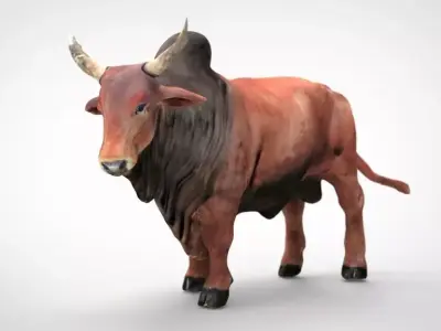 SACRED COW 3D model