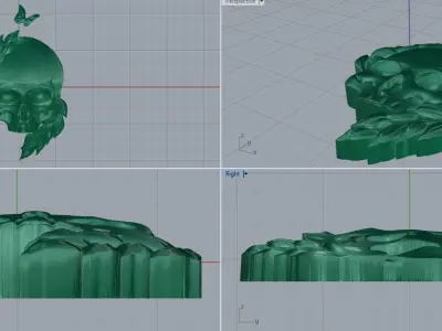 Skull 8 3D print model