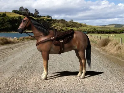 Brown horse with saddle and packs Low-poly 3D model