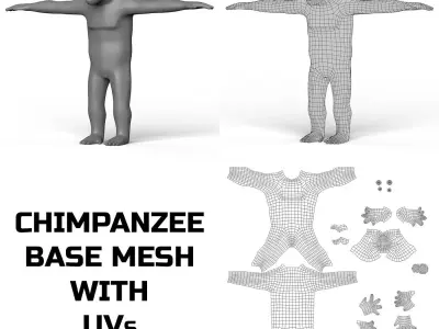 Chimpanzee Base Mesh Low-poly 3D model