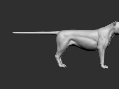 LION Model 3D model