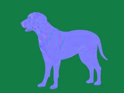 Labrador Retriever Dog  Low-poly 3D model