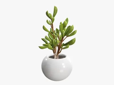 Potted plant decorative 08 3D model