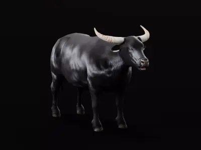 Asian Water Buffalo Low-poly 3D model