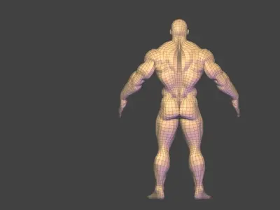 bodybuilder base mesh  Low-poly 3D model