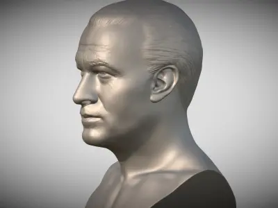 Steven Seagal bust 3D print model