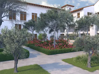 Olea europaea olive tree decorative B 3D model