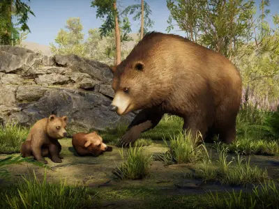 Realistic Bears Low-poly 3D model