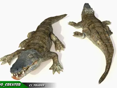 Crocodile Rig Animated LowPoly 3d model Low-poly 3D model