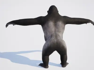 Gorilla 3D model shop