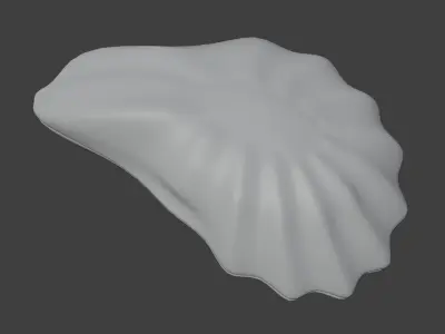 Oyster Shell 3D model