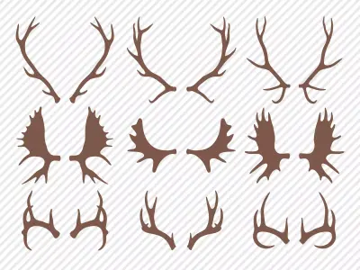27 Antler Decals Texture