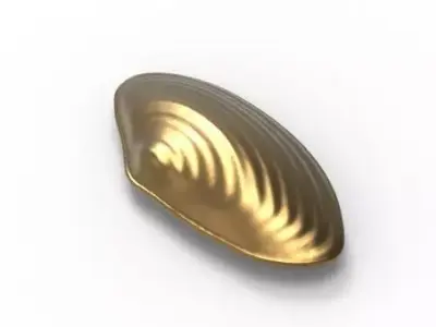 Natural Shell Ocean 3D print model