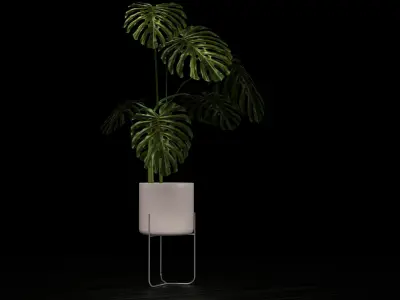 MONSTERA IN POT Low-poly 3D model