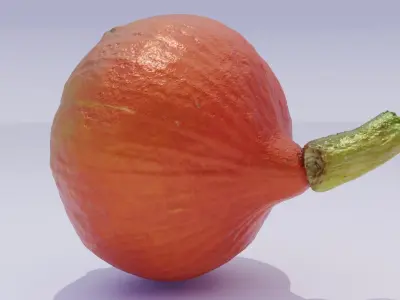 Ultra-realistic pumpkin high-poly 3D model