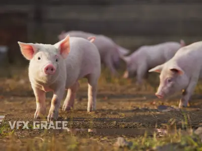 Piggy with 5 Animations VFX Grace 3D model