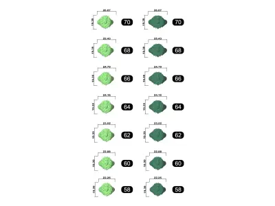  Lion Ring 7 Sizes STL for Jewelry Casting 3D print model 3D print model