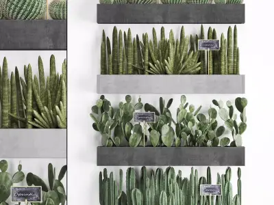 Cactus set wall decor vertical garden 43 3D model