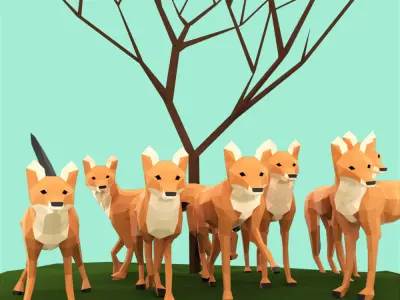 Dhole orange fox Low-poly 3D model