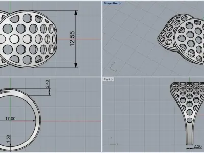 Lightweight ring with round holes  model 909 3D print model