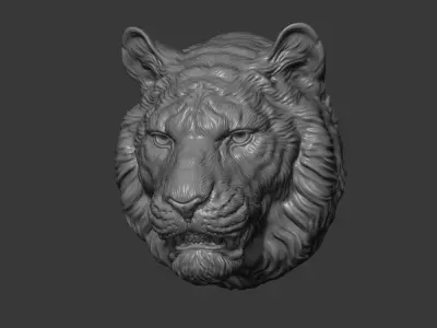 Tiger toothy 3D print model