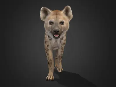 Hyena Realistic Animated 3D model