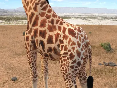 Giraffe rigged for 3dsmax 3D model