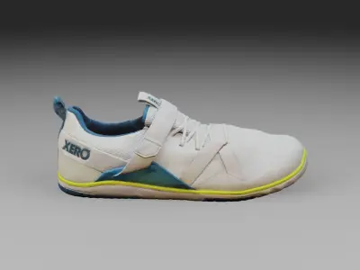 Xero Forza Trainer Clean scan 3D model