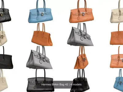 Hermes Birkin Bag 42 3D Model Pack