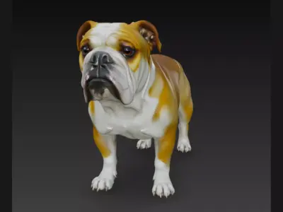 Detailed 3D Bulldog Dog Model 3D model