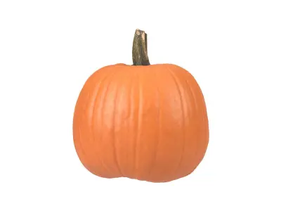 Photorealistic Pumpkin 3D Scan 3D model