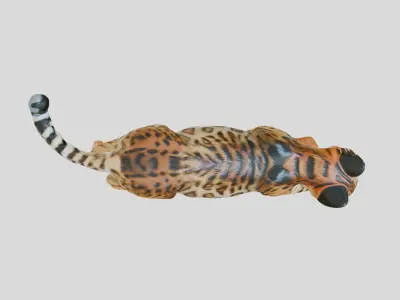 Leaping Bengal Cat Animation Model Low-poly 3D model