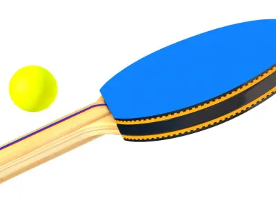 Table Tennis Paddles 3D model
