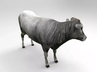 Gray Cow  Low-poly 3D model